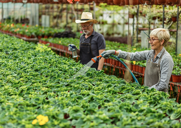 Agriculture and Allied Sectors
